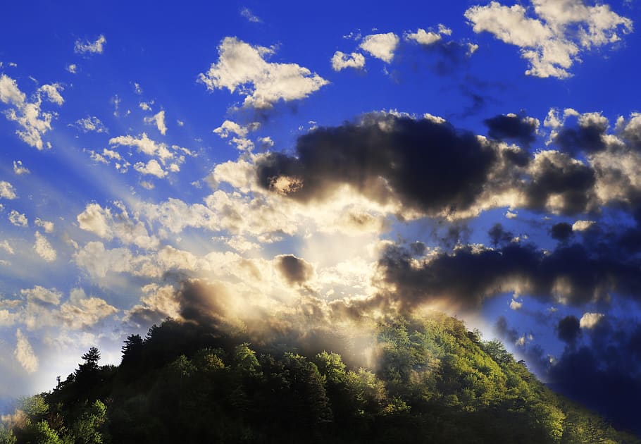 sky, sun, rain, clouds, landscape, green, environment, forest HD wallpaper