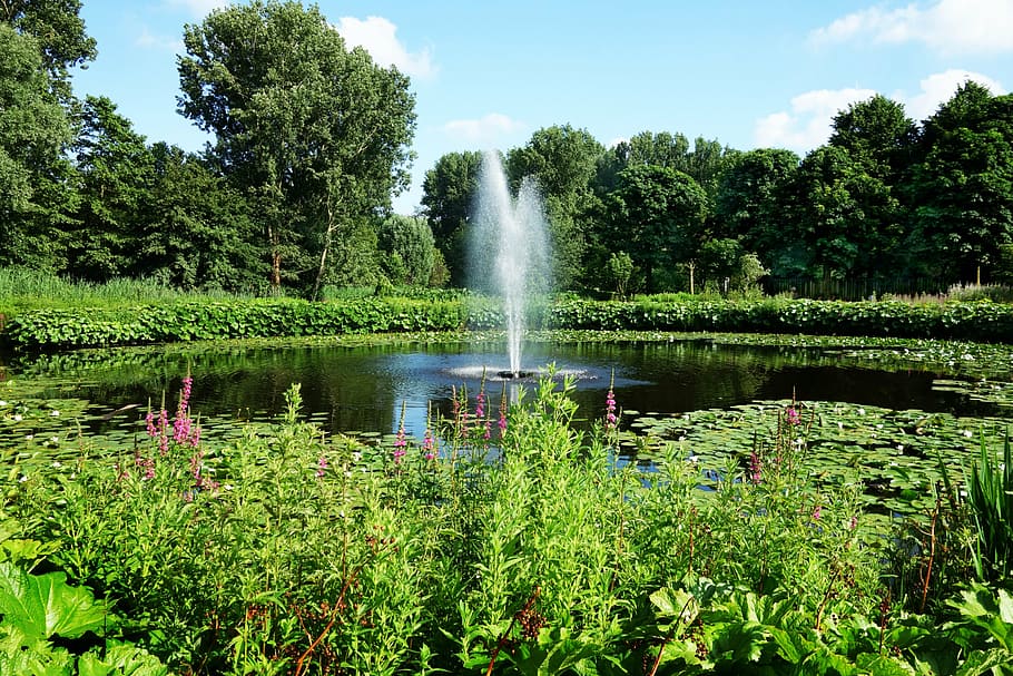 fountain, pond, spray, spurt, jet, pool, water, park, recreation HD wallpaper