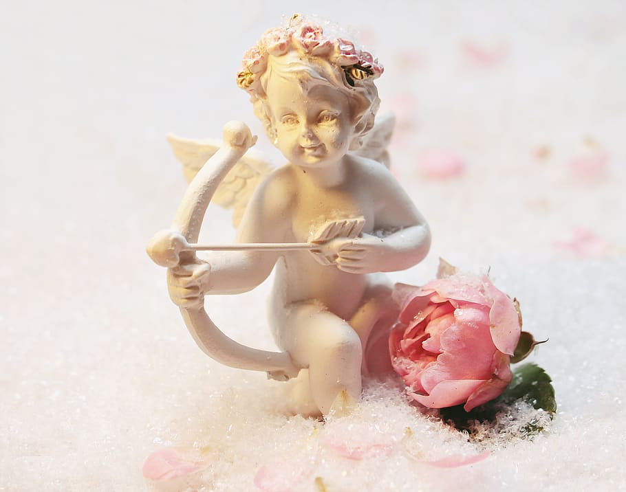selective focus photography of white marble cupid figurine with pink rose, HD wallpaper