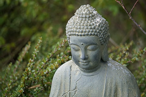 HD wallpaper: bokeh photography of Gautama Buddha, buddhism, statue