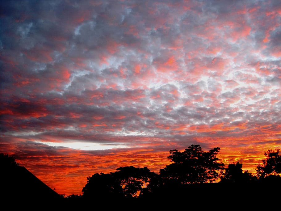 sunset, clouds, parchy, loose, orange, trees, silhouette, sky HD wallpaper