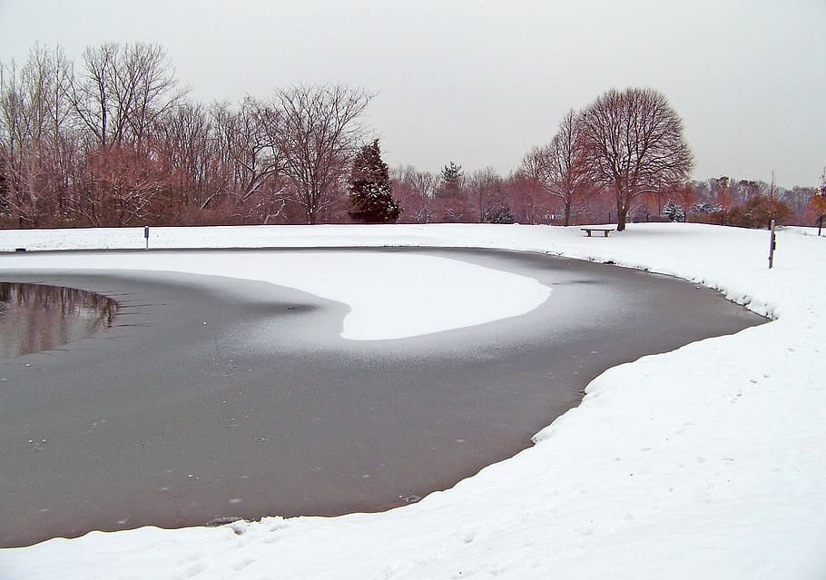 frozen, pond, winter, ice, snow, trees, cold temperature, nature HD wallpaper
