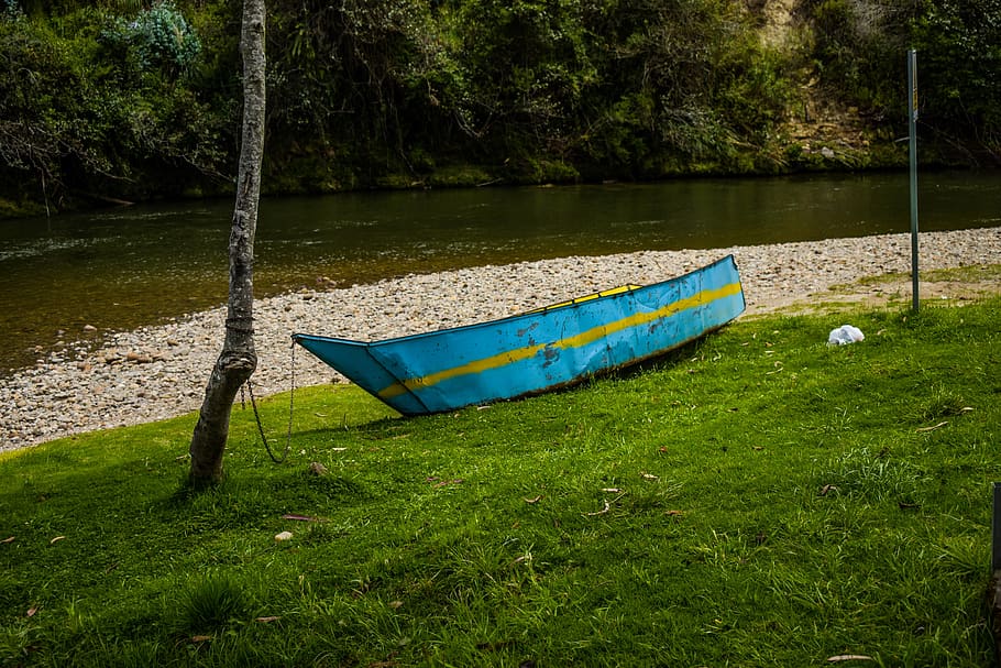 boat, river, adventure, plant, tree, water, nature, nautical vessel HD wallpaper