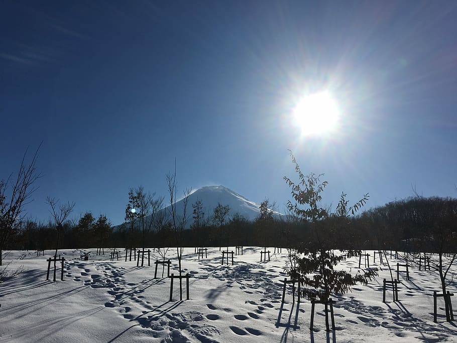 snow, winter, countryside, cold, natural, landscape, outside HD wallpaper