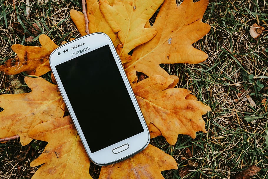 Autumn leaves on the ground, yellow, mobile, smartphone, fall, HD wallpaper