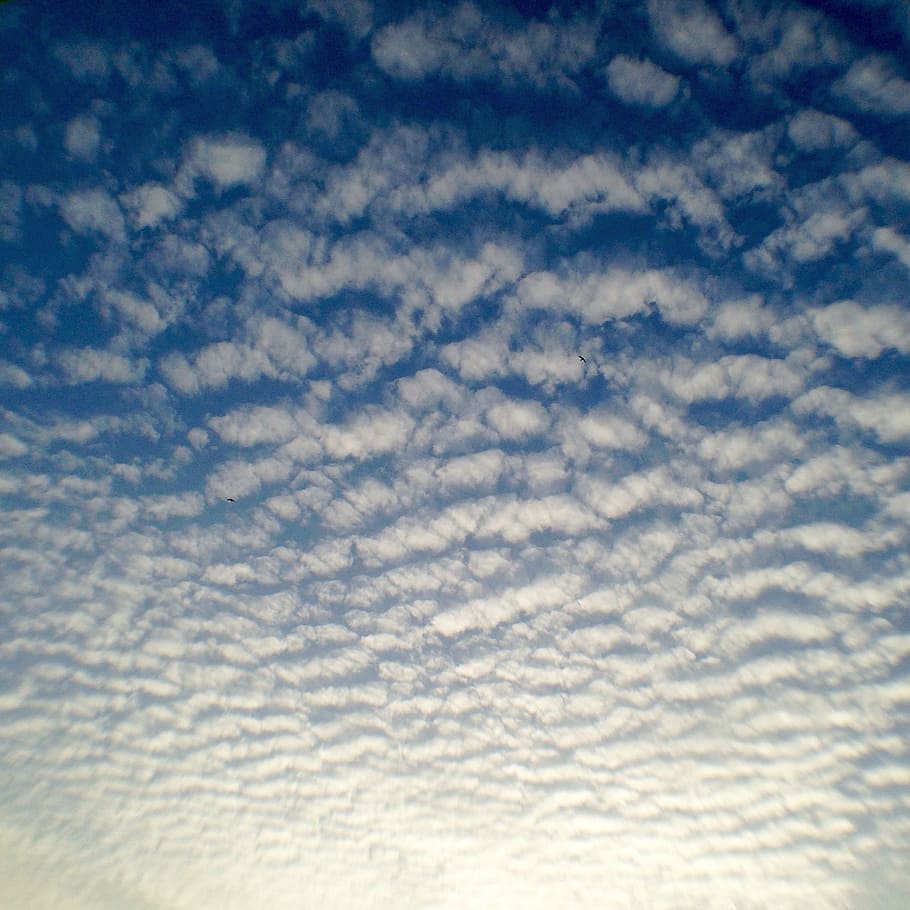 sky, clouds, blue, clouds form, sunny, cumulus cloud, nature HD wallpaper