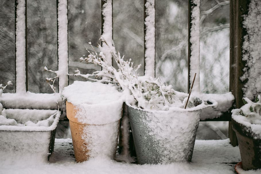 The first snow, nature, other, winter, cold - Temperature, outdoors HD wallpaper