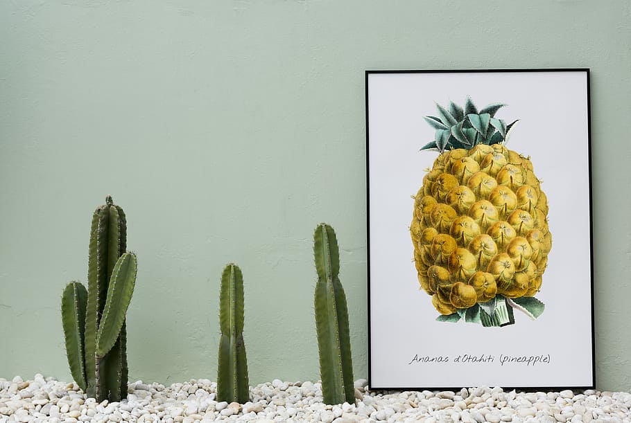 cactus plants, print, framed print, cacti, art, healthy eating HD wallpaper