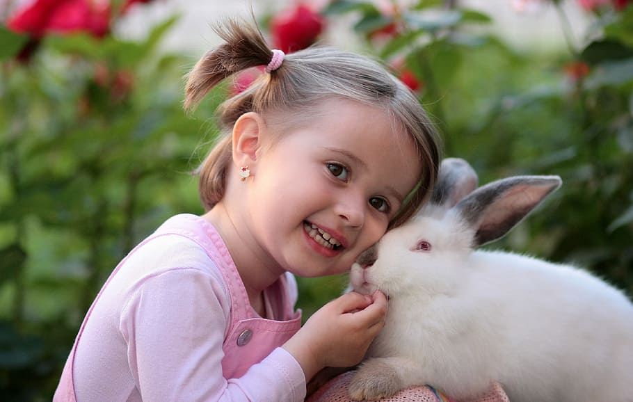 Girl Holding White Rabbit during Daytime, adorable, animal, baby