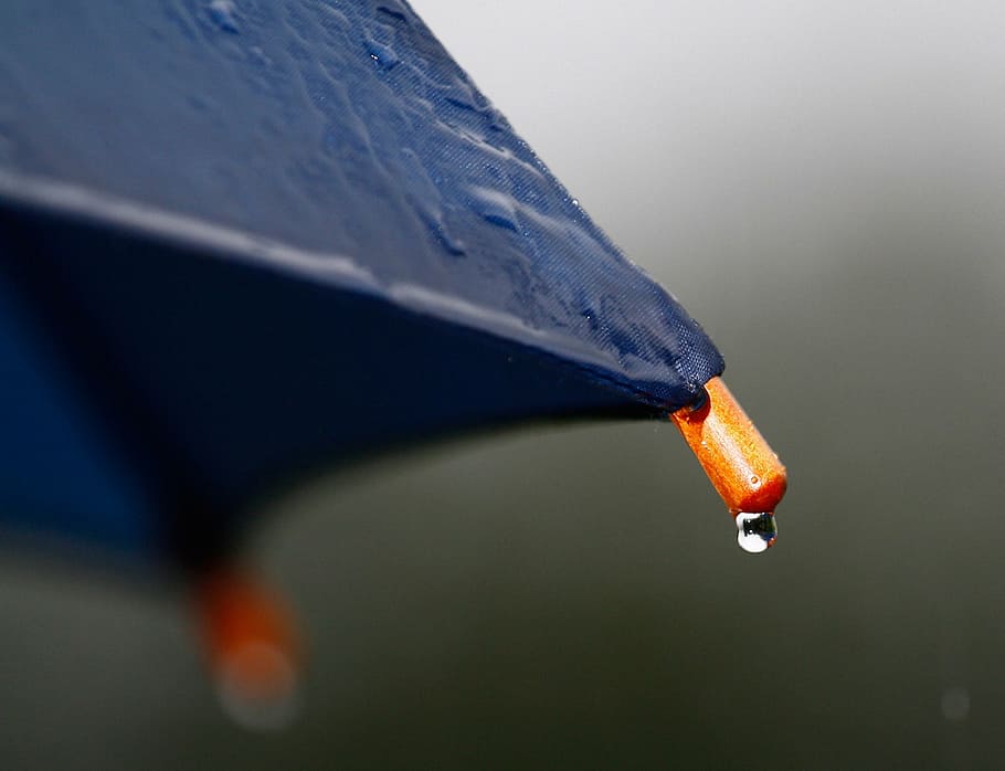 selective focus photography of water dew, rain, umbrella, drip HD wallpaper