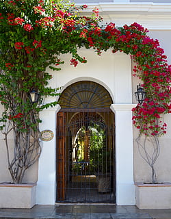 Door, Colonial, Poplars, flower, entrance, house, ornate, luxury HD wallpaper