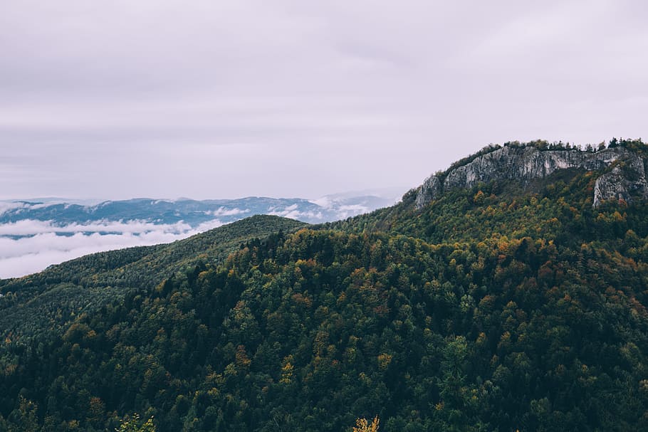 green forest on mountain near sea under cloudy sky, bird's eye photography of mountain covered trees HD wallpaper