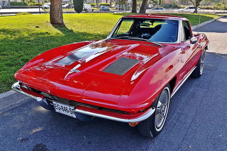 chevrolet, corvette, cup, 1963, split window, mode of transportation HD wallpaper