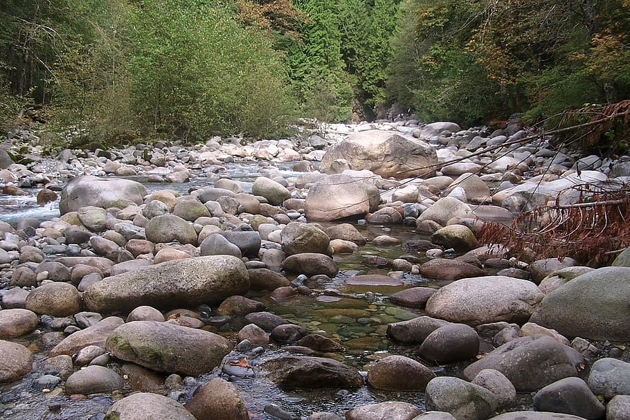 Canada, Canyon, River, Rocks, Water, landscape, nature, scenery HD wallpaper