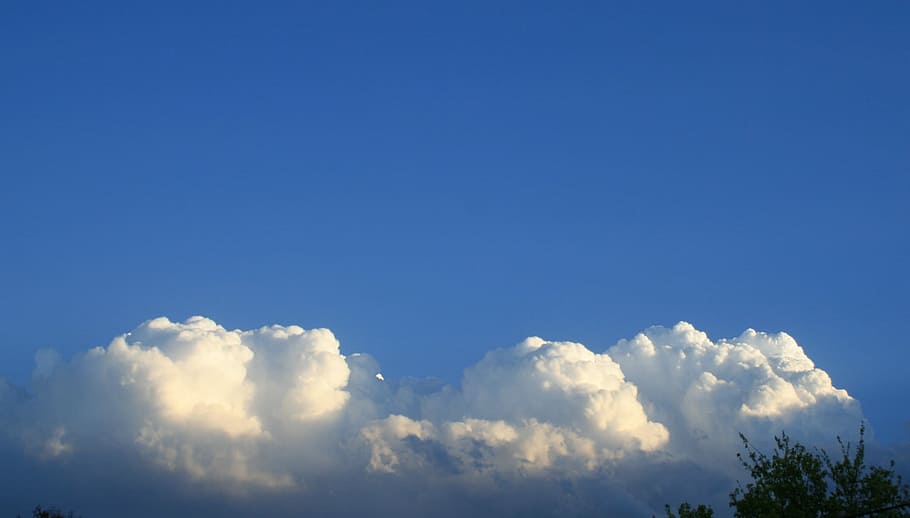 Clouds, White, Cumulus, Dense, large, packed, tops, shining HD wallpaper
