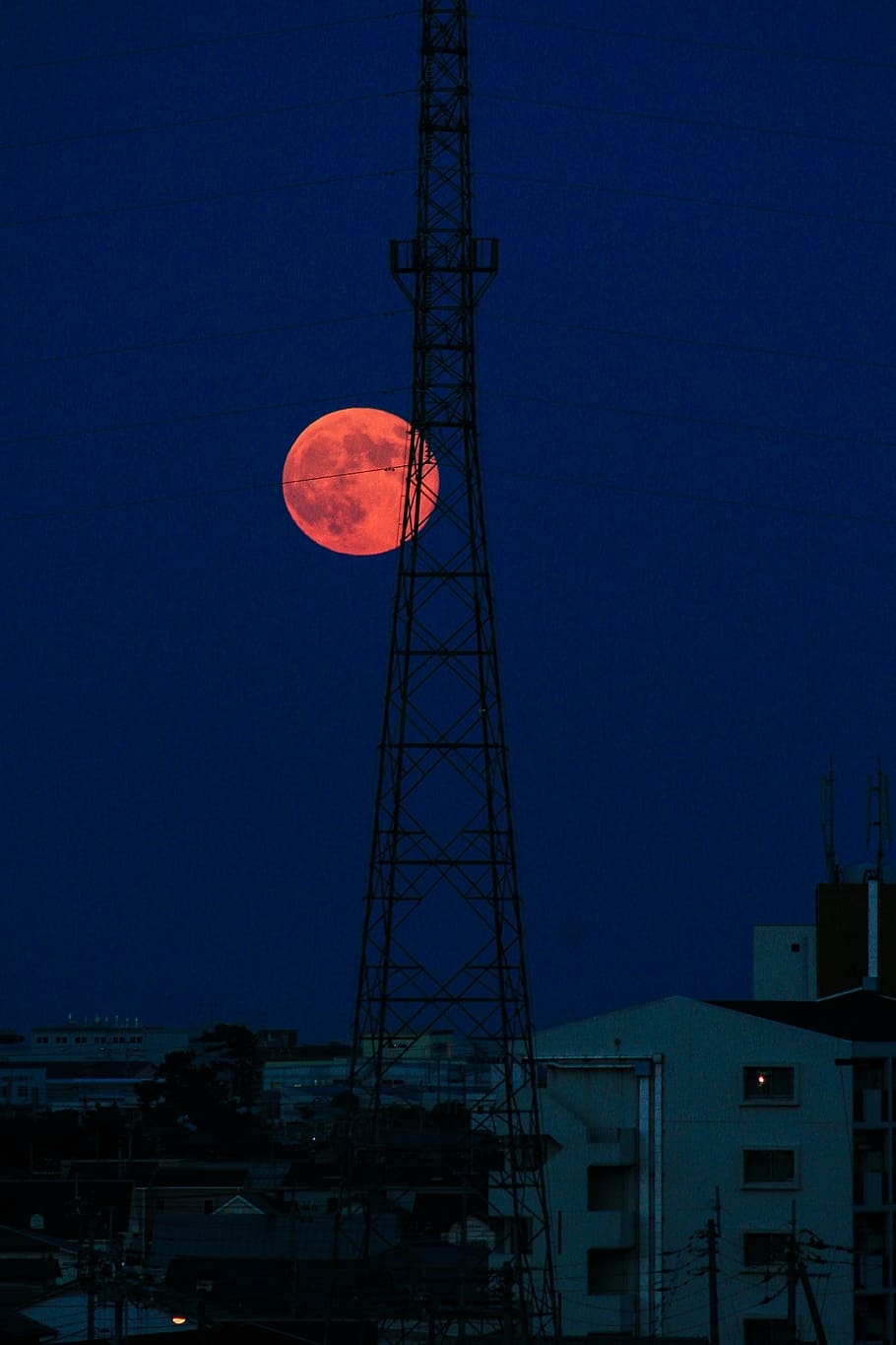 moon, full moon, night, built structure, architecture, sky HD wallpaper