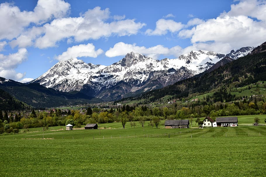 green grass field with houses next to mountains, green grass field near white and brown house HD wallpaper