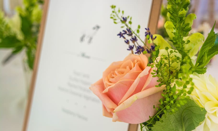 Wedding, Menu, Flower, Invitation, decoration, vintage, decorative HD wallpaper