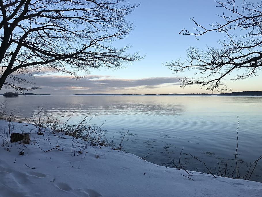 Winter, Water, Ocean, Snow, Nature, Cold, blue, white, season HD wallpaper