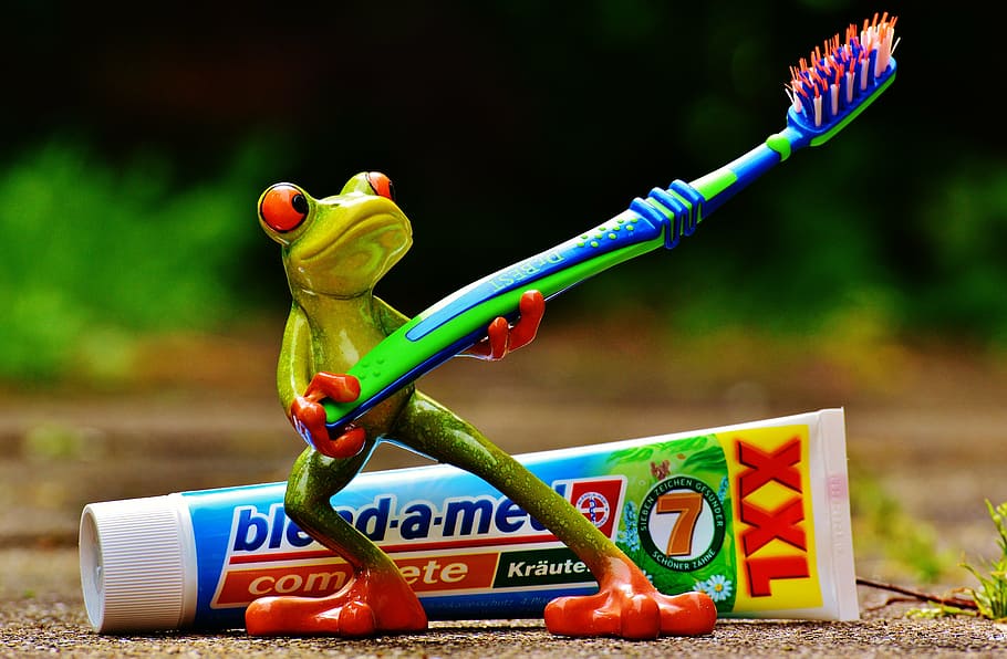 green frog figurine holding toothbrush at daytime, toothpaste