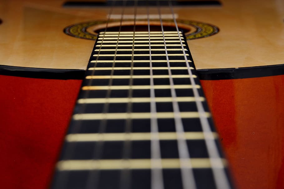Strings of guitar, various, music, musical Instrument, fretboard HD wallpaper