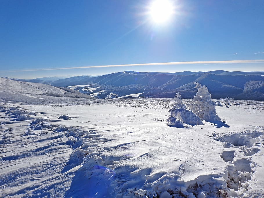 snow-covered field under sunny sky, winter, forest, frost, landscape HD wallpaper