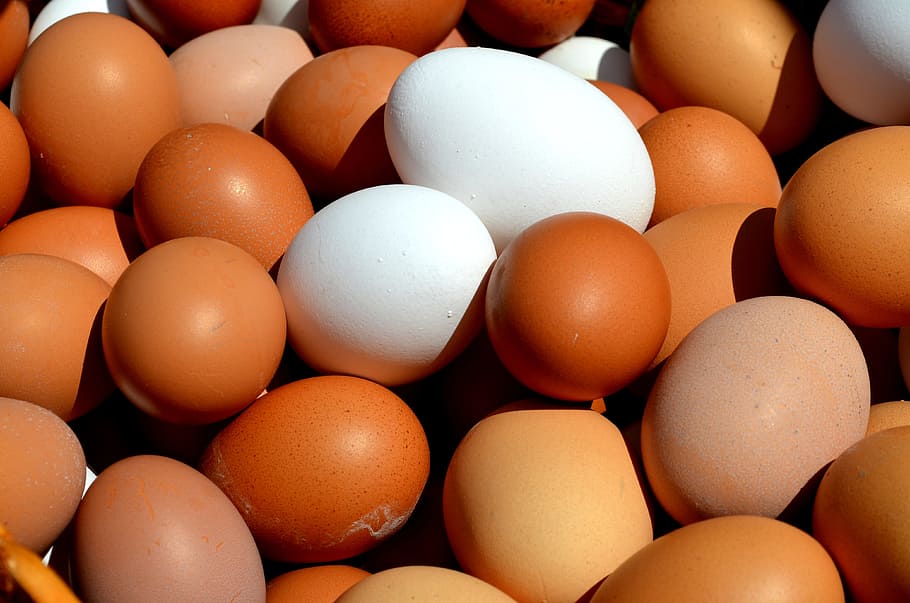 closeup photo of stack of orange and white eggs, hen's egg, basket cosy