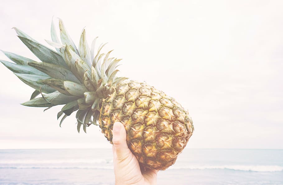person holding pineapple in front of sea, dessert, appetizer HD wallpaper