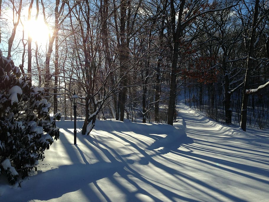 nj, winter, shadows, snow, sunlight, landscape, sky, trees HD wallpaper