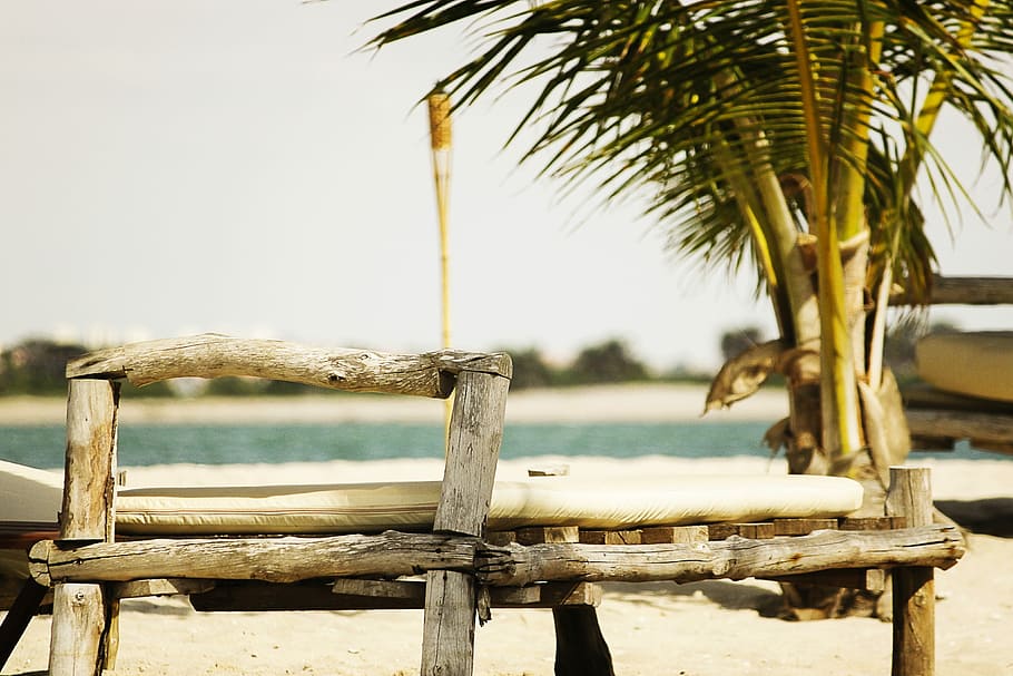 Beach Poetry!, brown wooden bench near shoreline, palm tree, sand HD wallpaper