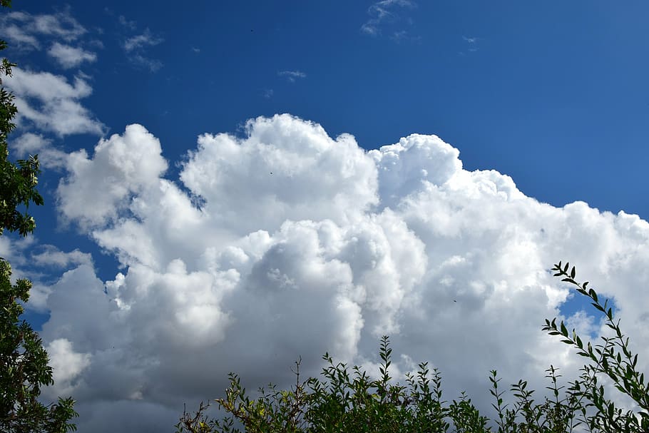 clouds, sky, blue, clouds form, trees, nature, outdoors, summer HD wallpaper