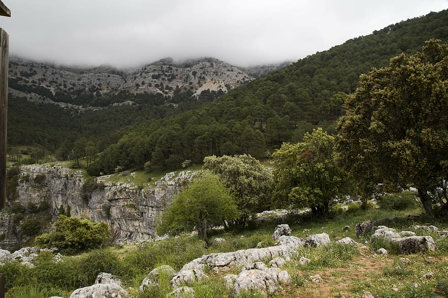 nature, landscape, clouds, mountain, plant, rock, tree, beauty in nature HD wallpaper