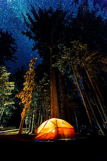 camping in forest during nightime, orange and yellow tent beside trees HD wallpaper