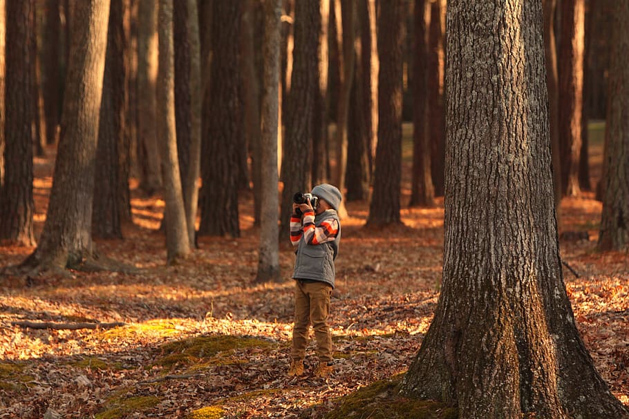 person holding camera in forest, toddler standing near trees while taking picture during daytime HD wallpaper