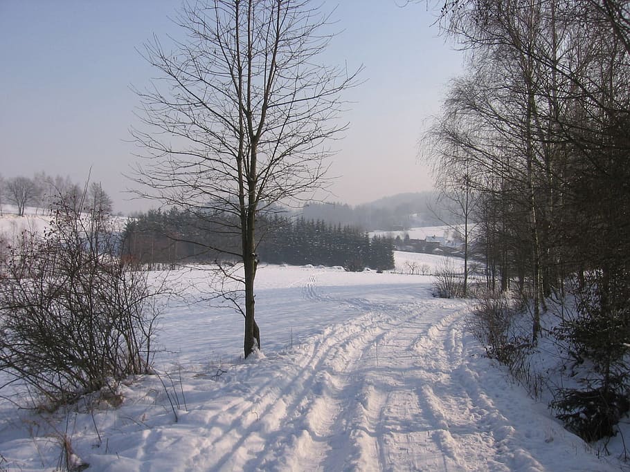 Snow, Winter, Road, Cold, Season, Frost, snowy, ice, seasonal HD wallpaper