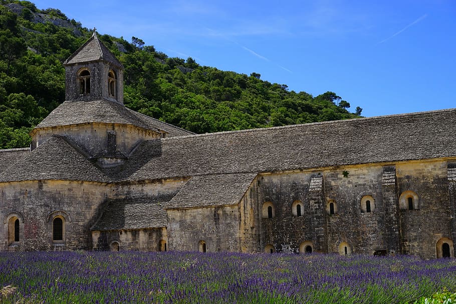 abbaye de sénanque, monastery, abbey, notre dame de sénanque, HD wallpaper
