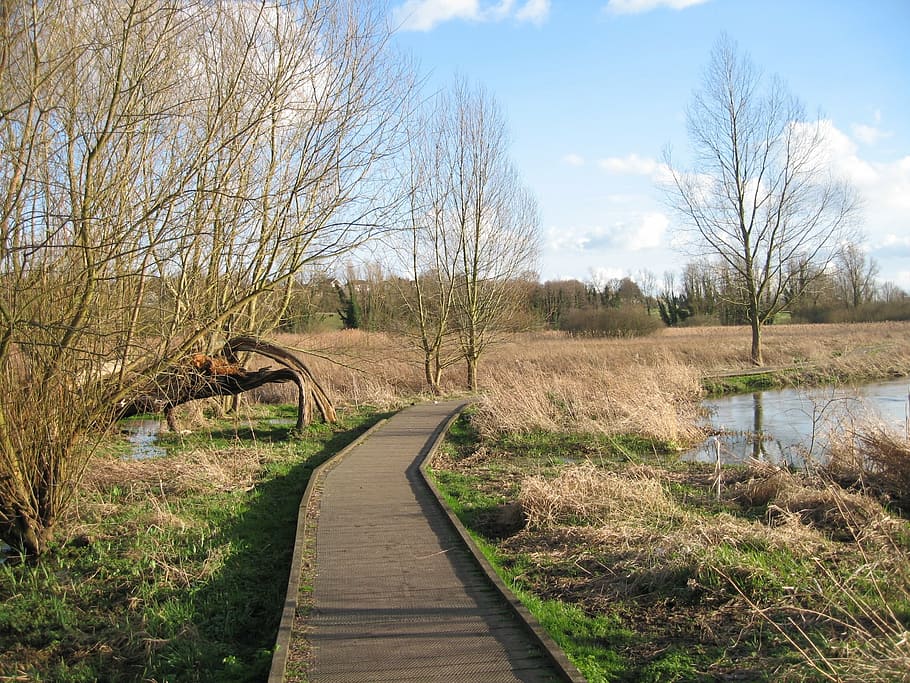 river, walk, walkway, walking, water, nature, outdoor, hiking HD wallpaper