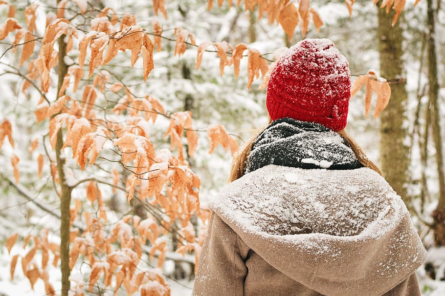 cold, snow, landscape, weather, blurred background, close-up HD wallpaper
