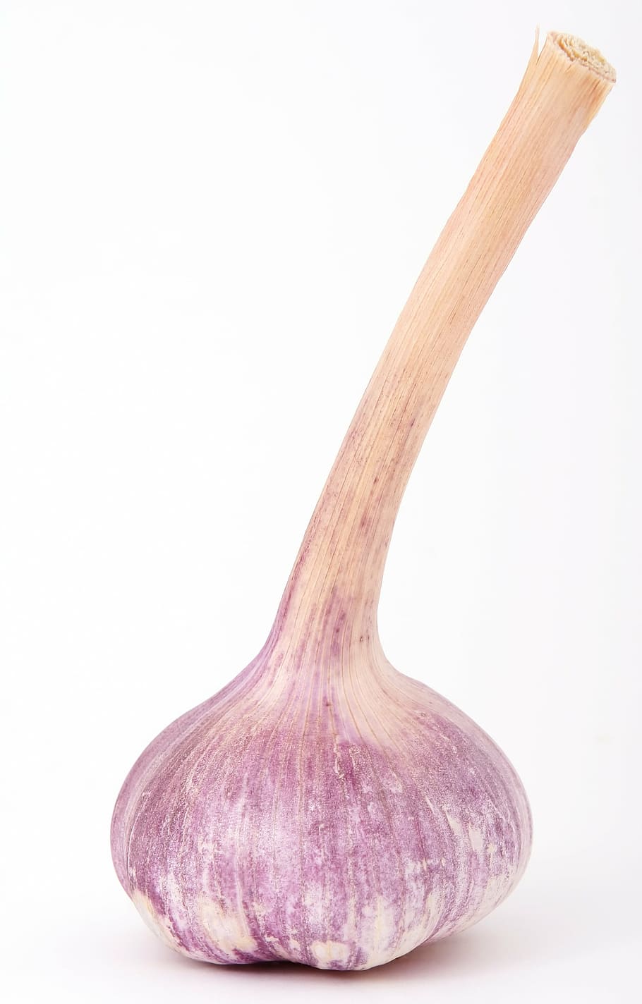garlic clove, bulb, closeup, close-up, color, colour, cook, cookery, HD wallpaper
