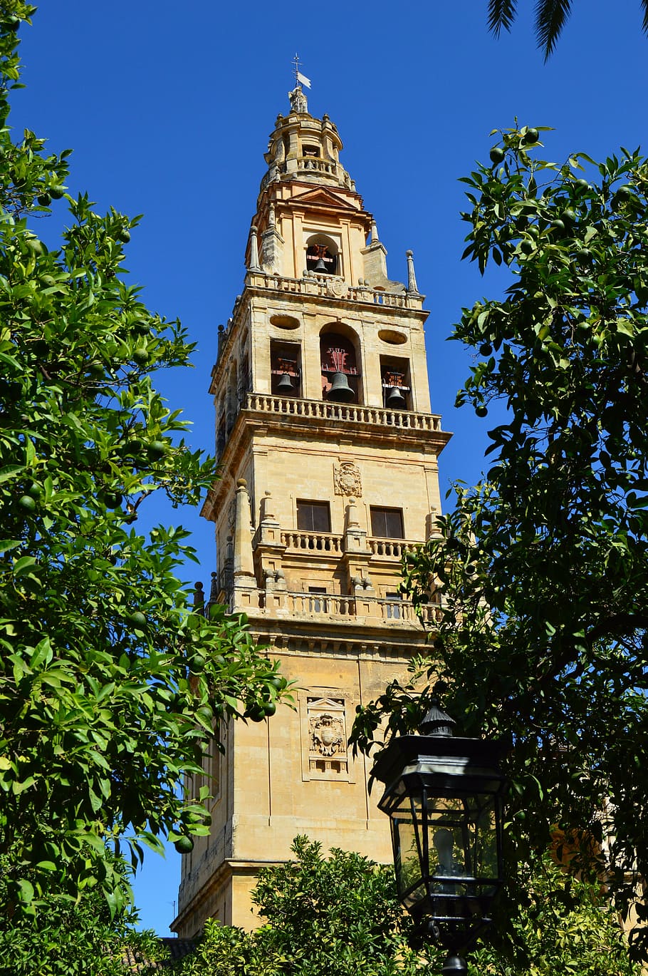 holidays, mosque, córdoba, architecture, church, tower, famous Place HD wallpaper