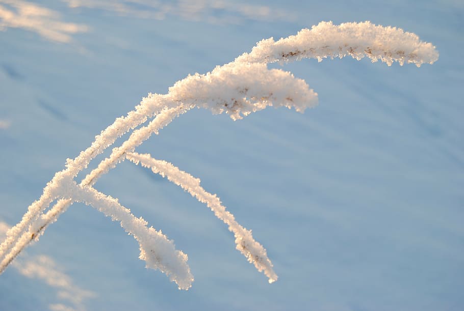 frost, snow, winter, cold, airplane, flying, cloud - sky, vapor trail HD wallpaper
