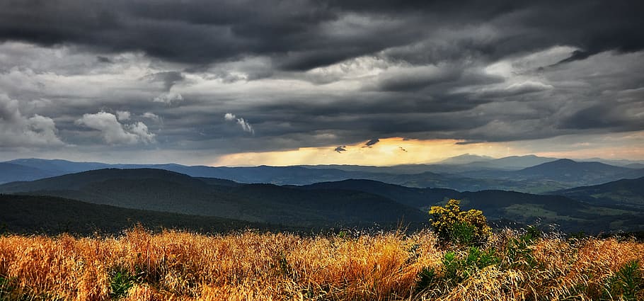 orange and green field near mountain under gray clouds, landscape HD wallpaper