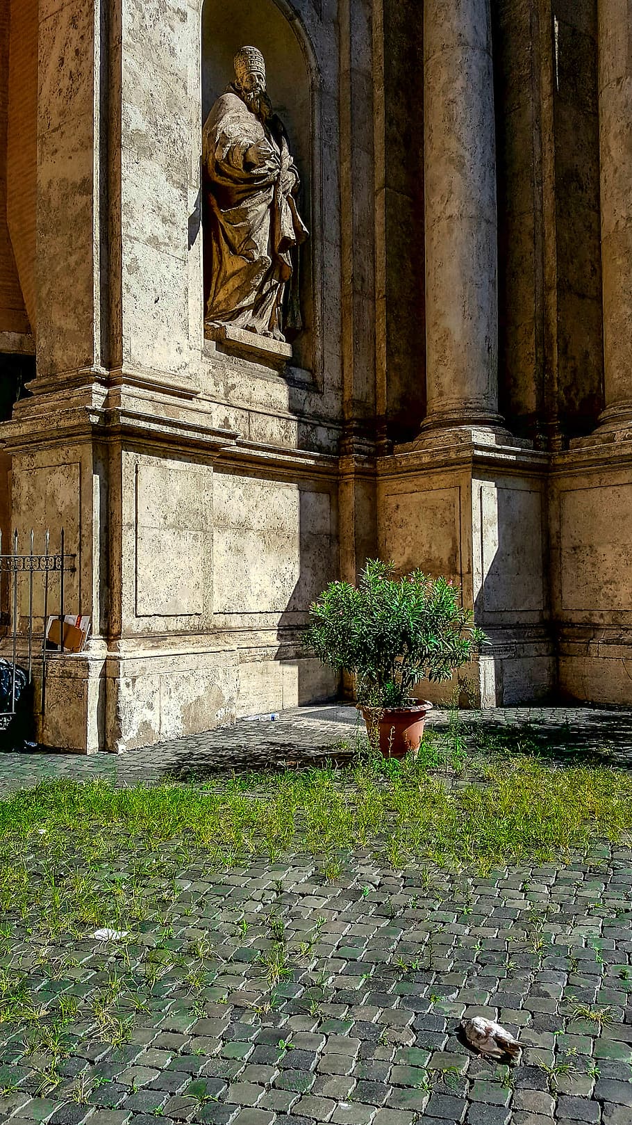 rome, italy, pigeon, death, bird, dead, statue, point, bless HD wallpaper