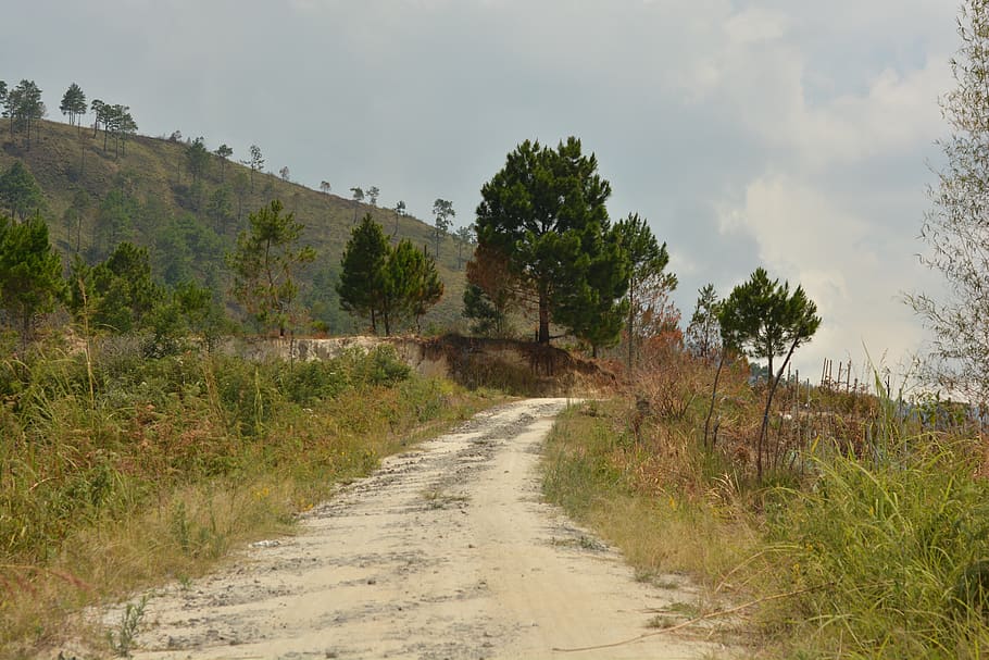 footpath, road, village, mount, indonesian, the streets, plant, HD wallpaper