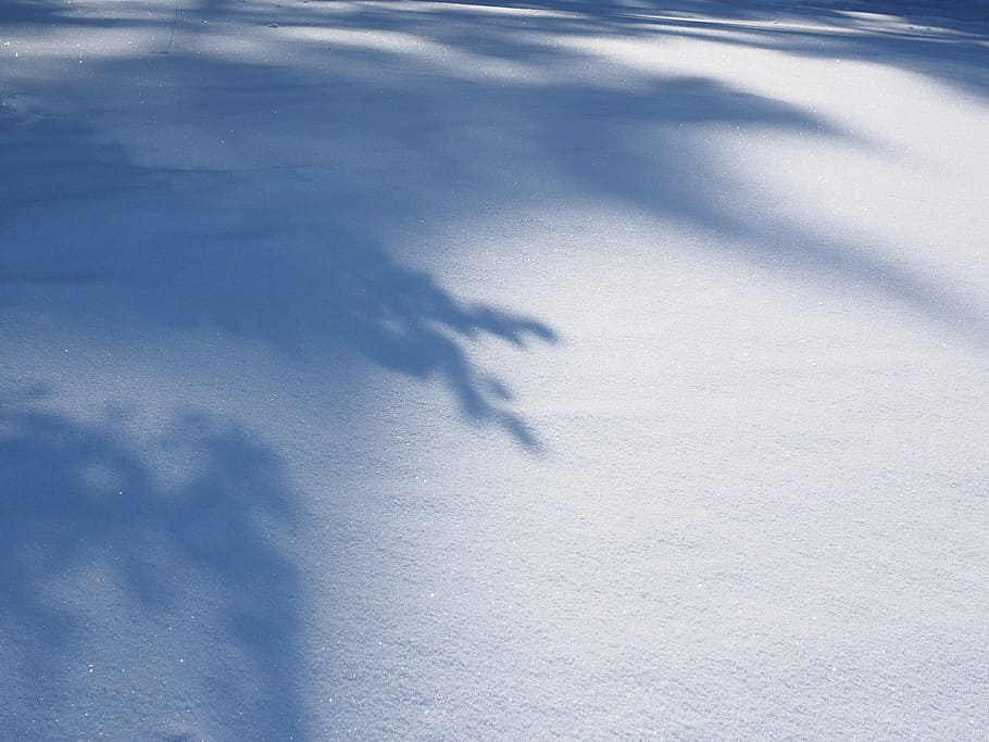 snow with tree shadow, snow landscape, winter, sun, cold, snowfield HD wallpaper