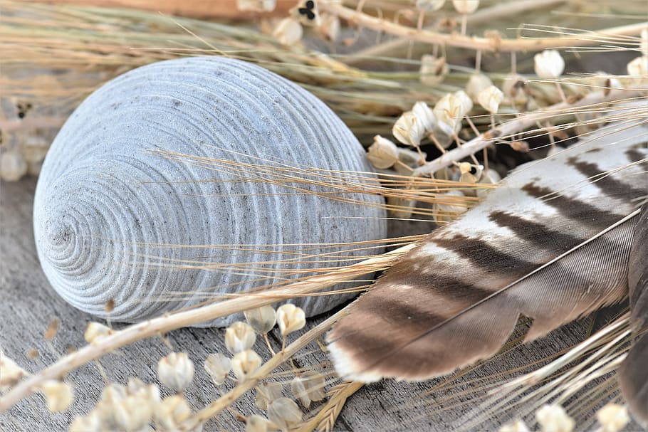 Deco, Decoration, Table, table decorations, decorative, feather HD wallpaper