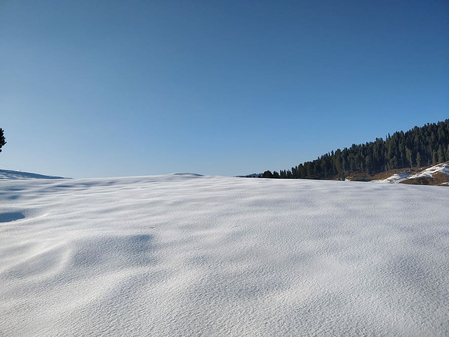 white snow, hill, mountain, tree, woodland, sky, cold temperature HD wallpaper
