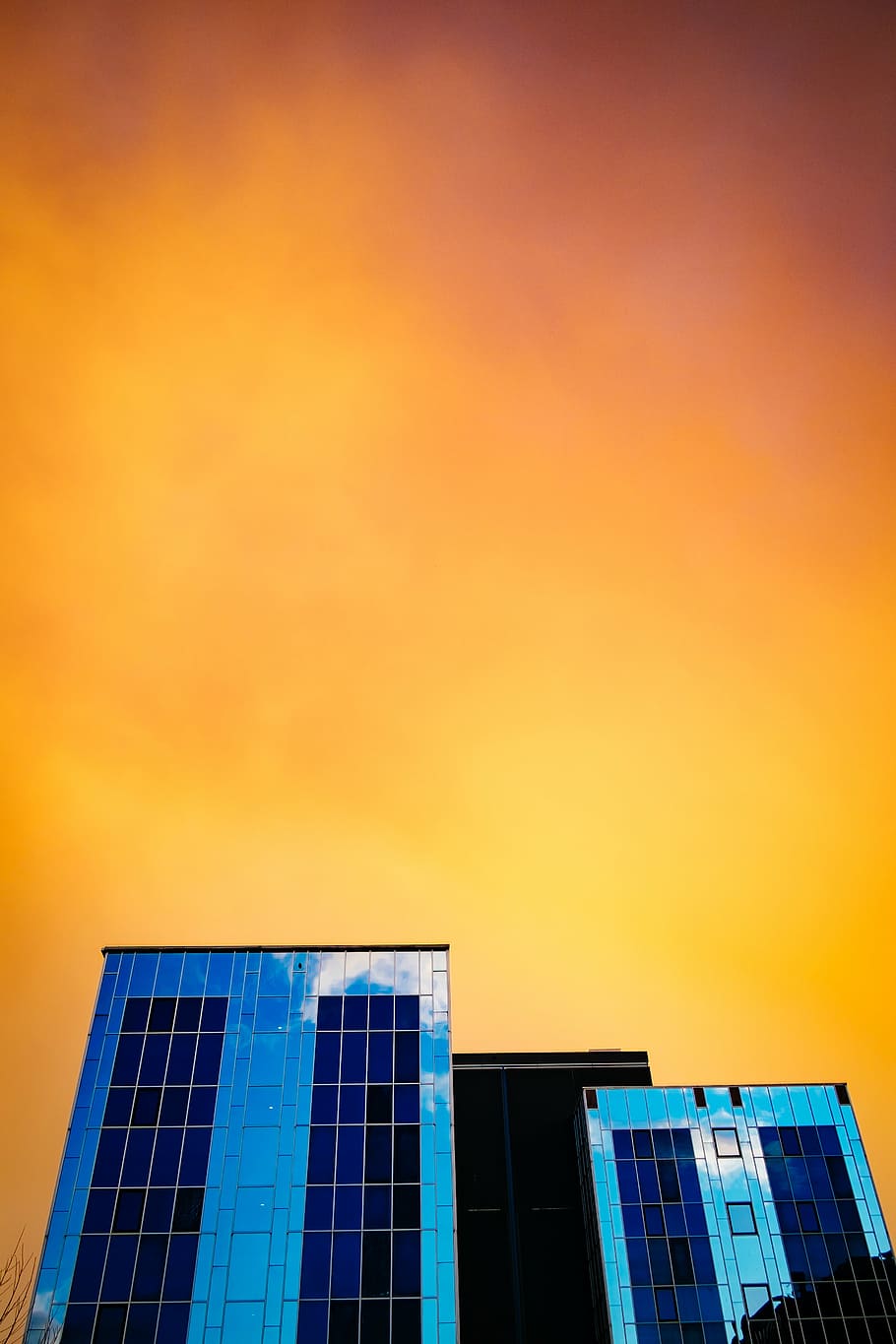 untitled, low, angle, photography, high, rise, building, sunset HD wallpaper