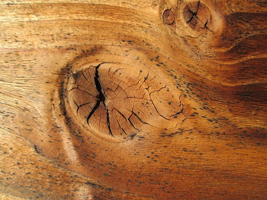 brown wood panel, Texture, Background, Knot, Pattern, wooden HD wallpaper