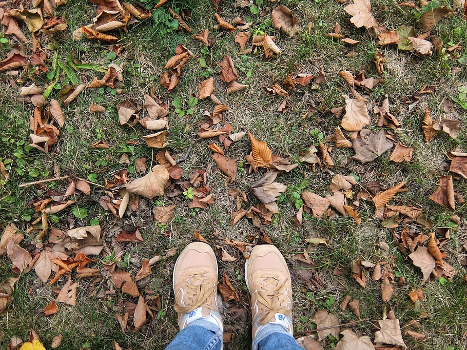 fall leaves, ground, feet, shoes, autumn, shoelaces, outdoors HD wallpaper